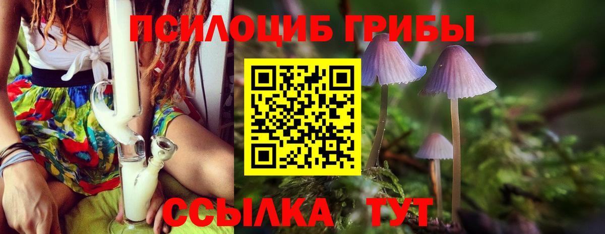Псилоцибиновые грибы MAGIC MUSHROOMS  Вход с VPN  Менделеевск 